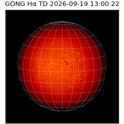 gong - 2026-09-19T13:00:22