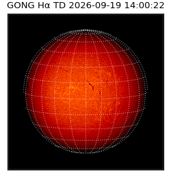 gong - 2026-09-19T14:00:22