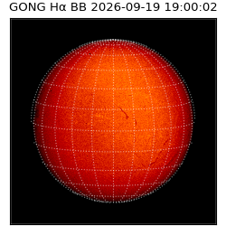 gong - 2026-09-19T19:00:02