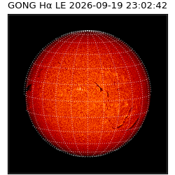 gong - 2026-09-19T23:02:42