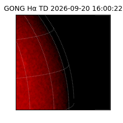 gong - 2026-09-20T16:00:22