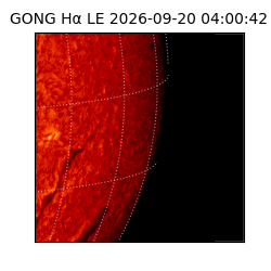 gong - 2026-09-20T04:00:42