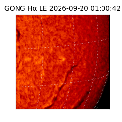 gong - 2026-09-20T01:00:42