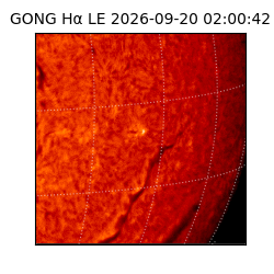 gong - 2026-09-20T02:00:42