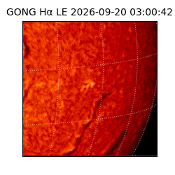 gong - 2026-09-20T03:00:42