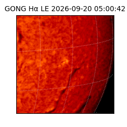gong - 2026-09-20T05:00:42