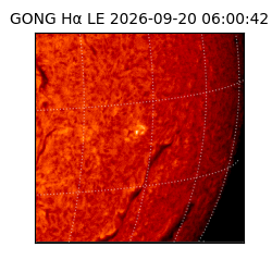 gong - 2026-09-20T06:00:42