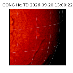 gong - 2026-09-20T13:00:22