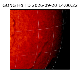 gong - 2026-09-20T14:00:22