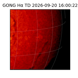 gong - 2026-09-20T16:00:22