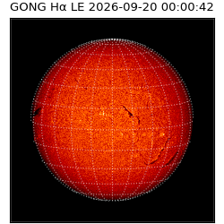 gong - 2026-09-20T00:00:42