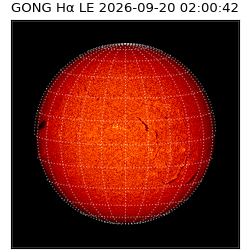 gong - 2026-09-20T02:00:42