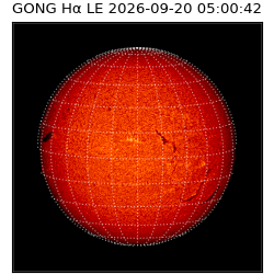 gong - 2026-09-20T05:00:42