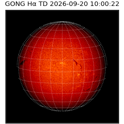 gong - 2026-09-20T10:00:22