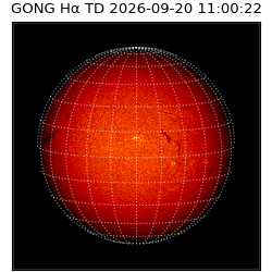 gong - 2026-09-20T11:00:22