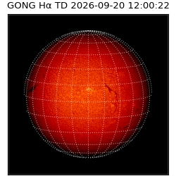 gong - 2026-09-20T12:00:22