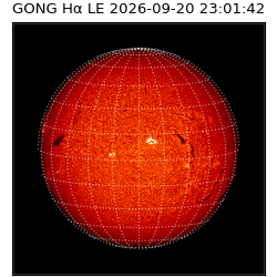 gong - 2026-09-20T23:01:42