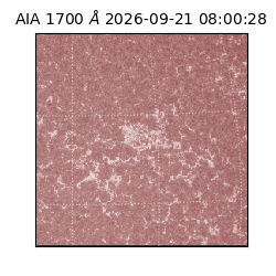 saia - 2026-09-21T08:00:28.716000