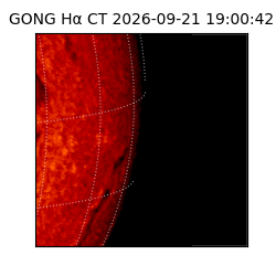 gong - 2026-09-21T19:00:42