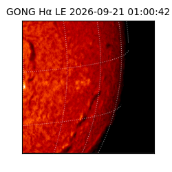 gong - 2026-09-21T01:00:42