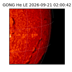 gong - 2026-09-21T02:00:42