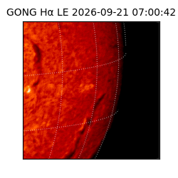 gong - 2026-09-21T07:00:42