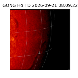 gong - 2026-09-21T08:09:22