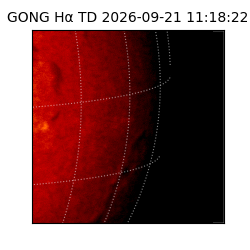 gong - 2026-09-21T11:18:22