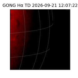 gong - 2026-09-21T12:07:22