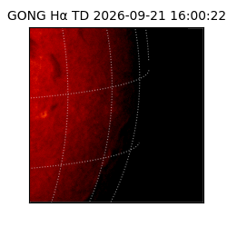 gong - 2026-09-21T16:00:22