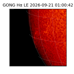 gong - 2026-09-21T01:00:42