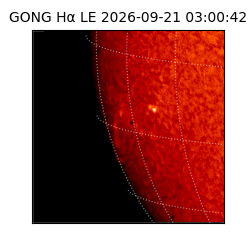 gong - 2026-09-21T03:00:42