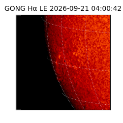 gong - 2026-09-21T04:00:42
