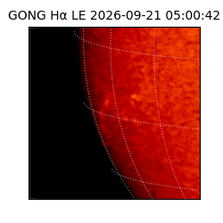 gong - 2026-09-21T05:00:42