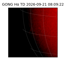 gong - 2026-09-21T08:09:22