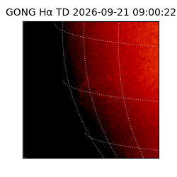 gong - 2026-09-21T09:00:22