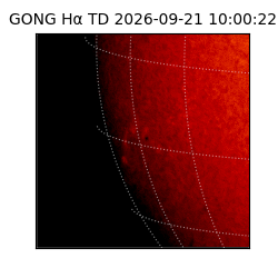 gong - 2026-09-21T10:00:22