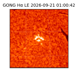 gong - 2026-09-21T01:00:42