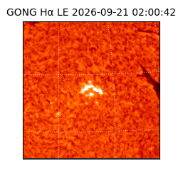gong - 2026-09-21T02:00:42