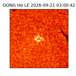 gong - 2026-09-21T03:00:42
