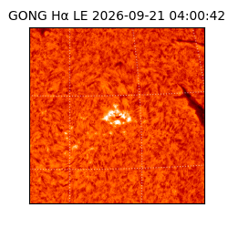 gong - 2026-09-21T04:00:42