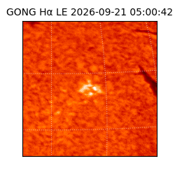 gong - 2026-09-21T05:00:42