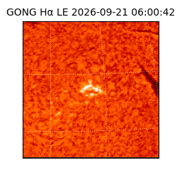 gong - 2026-09-21T06:00:42