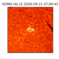 gong - 2026-09-21T07:00:42