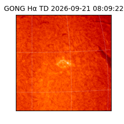 gong - 2026-09-21T08:09:22
