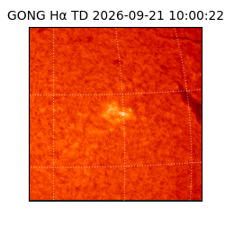 gong - 2026-09-21T10:00:22