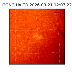gong - 2026-09-21T12:07:22