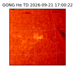 gong - 2026-09-21T17:00:22