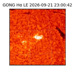 gong - 2026-09-21T23:00:42