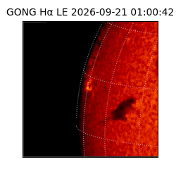 gong - 2026-09-21T01:00:42